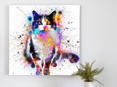 Feline Frowns kunst - 80x80 centimeter op Canvas | Foto op Canvas - wanddecoratie