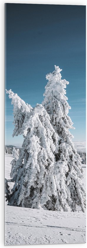 WallClassics - Acrylglas - Dikke Sneeuwlaag op Boom in Wit Landschap - 30x90 cm Foto op Acrylglas (Met Ophangsysteem)