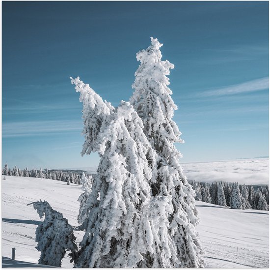 WallClassics - Poster (Mat) - Dikke Sneeuwlaag op Boom in Wit Landschap - 50x50 cm Foto op Posterpapier met een Matte look