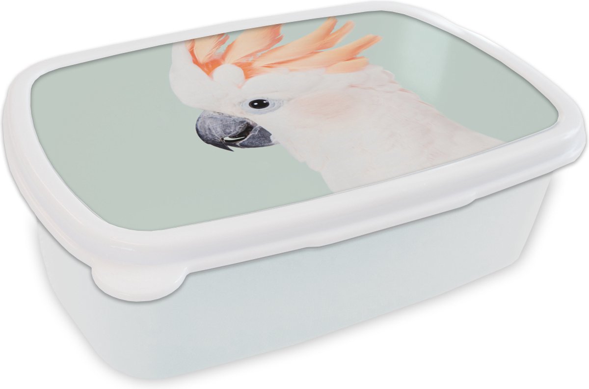 Broodtrommel Wit - Lunchbox - Brooddoos - Kaketoe - Dieren - Natuur - Wit - 18x12x6 cm - Volwassenen