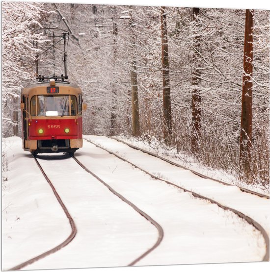 Acrylglas - Rode Tram rijdend door Bos vol Bomen in de Winter - 100x100 cm Foto op Acrylglas (Met Ophangsysteem)