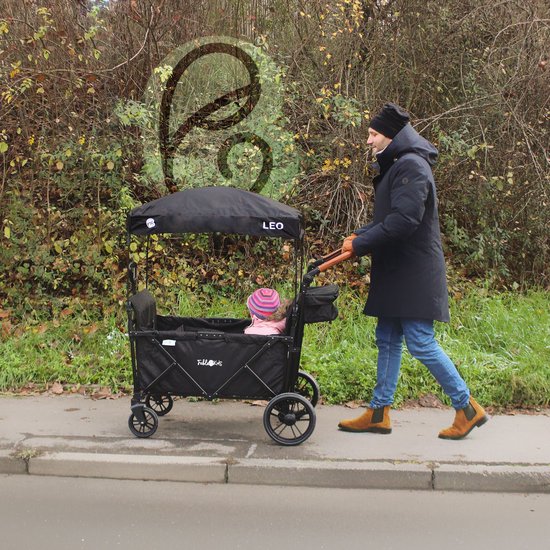 FableKids LEO X4 Plus - opvouwbare trolley met dak - 4 zitplaatsen - Onyx Black van Merkloos — afbeelding 4