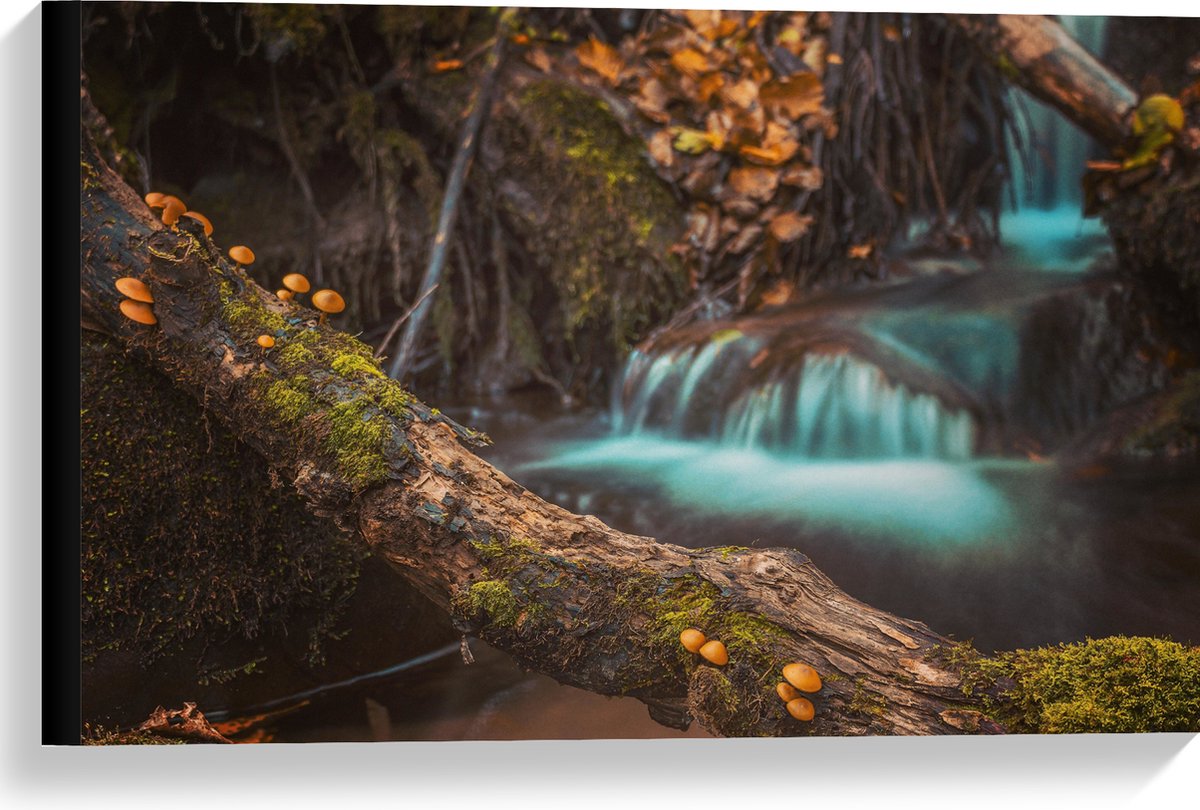 Canvas - Smalle Boomstam voor Rustige Waterval - 60x40 cm Foto op Canvas Schilderij (Wandd