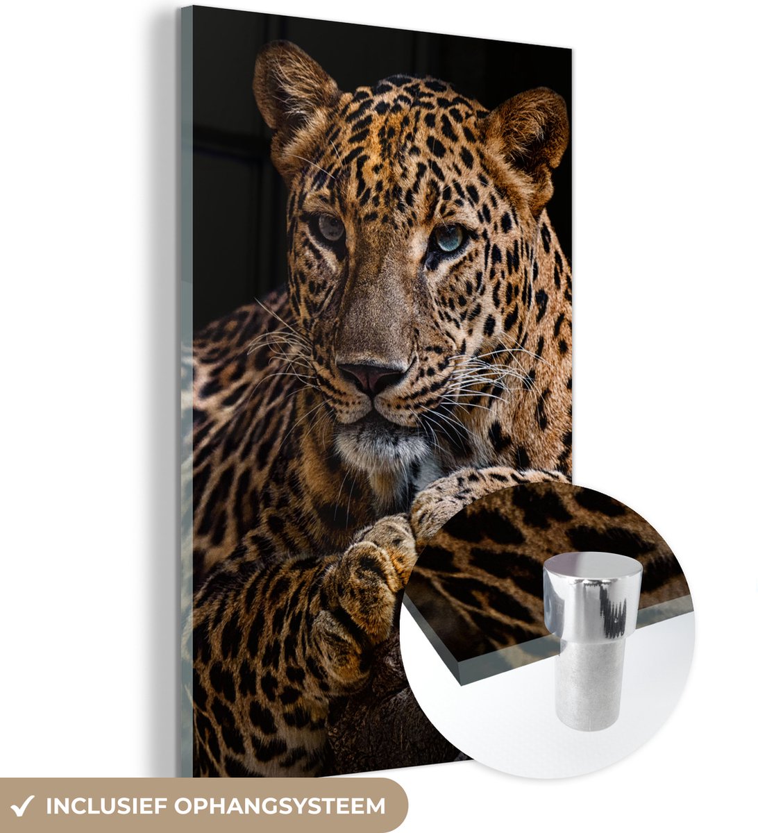 Glasschilderij luipaard - Boomstam - Dieren - Portret - Wanddecoratie - Woonkamer - 120x18