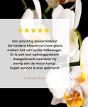 Product afbeelding  9