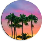 WallClassics - Dibond Muurcirkel - Palmbomen met Kleurrijke Lucht - 40x40 cm Foto op Aluminium Muurcirkel (met ophangsysteem)