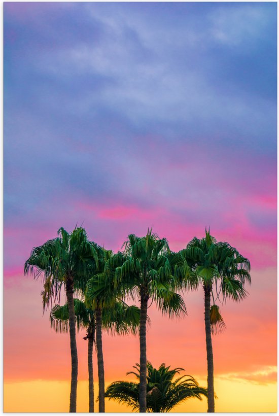 WallClassics - Poster Glanzend – Palmbomen met Kleurrijke Lucht - 80x120 cm Foto op Posterpapier met Glanzende Afwerking