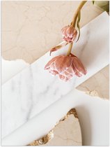 Poster Glanzend – Roze Bloemen Liggend op Marmeren Plaat - 30x40 cm Foto op Posterpapier met Glanzende Afwerking