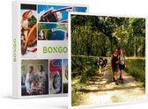 Bongo Bon - EZELWANDELING VOOR 4 BIJ HET BOLHUIS IN DIEST - Cadeaukaart cadeau voor man of vrouw