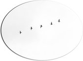 WallClassics - Dibond Ovaal - Zwarte Vogels Vliegend in Lijn op Witte Achtergrond - 56x42 cm Foto op Ovaal (Met Ophangsysteem)