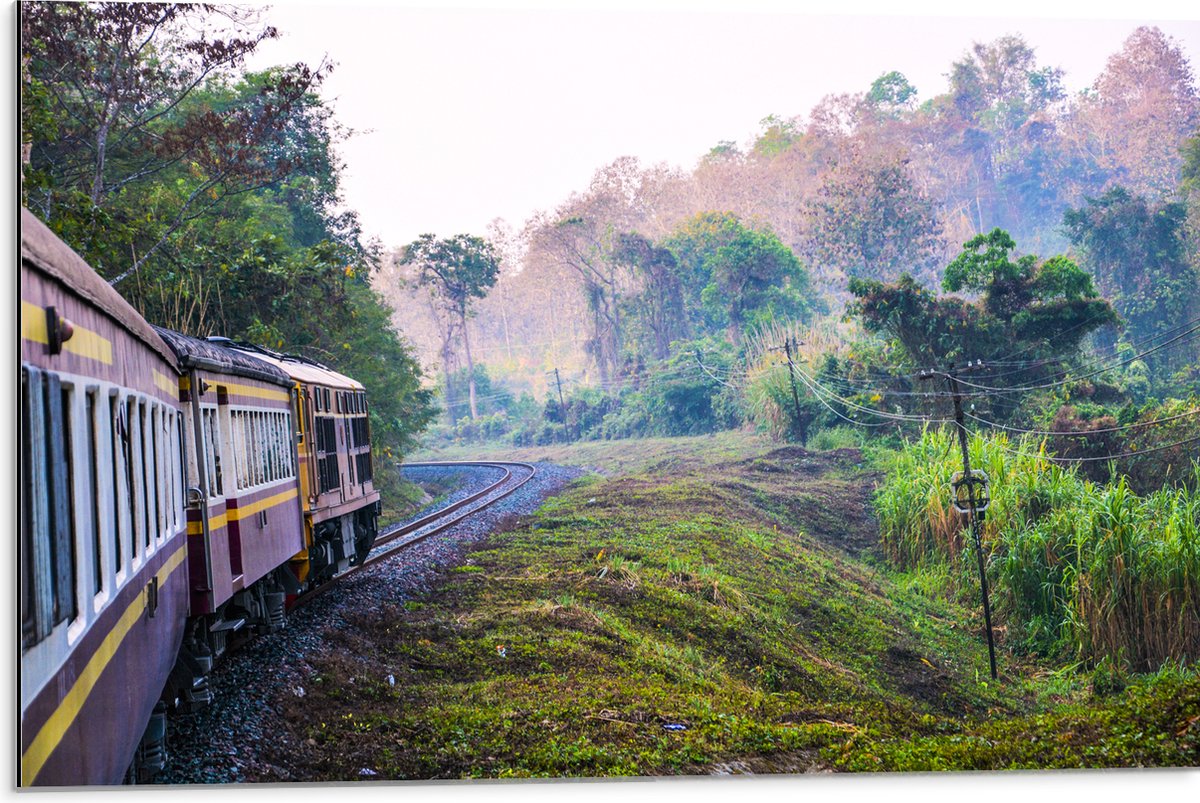 WallClassics - Dibond - Thaise Trein door Groen Natuurgebied in Thailand - 75x50 cm Foto op Aluminium (Met Ophangsysteem)