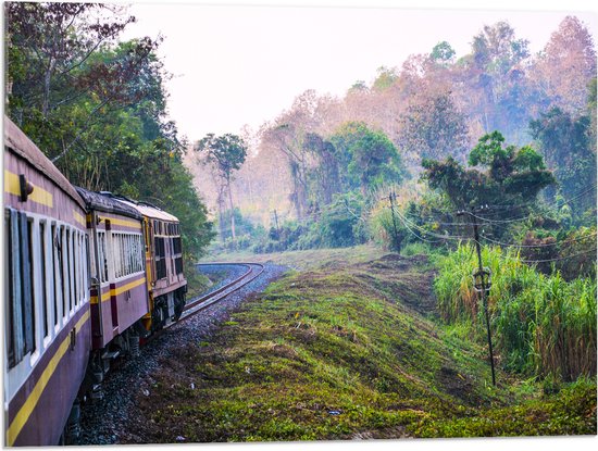 WallClassics - Verre acrylique - Train thaïlandais à travers la réserve naturelle verte en Thaïlande - 80x60 cm Photo sur verre acrylique (avec système de suspension)