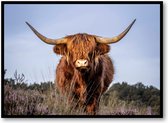 Schotse Hooglander - Fotoposter 70x50 met Lijst