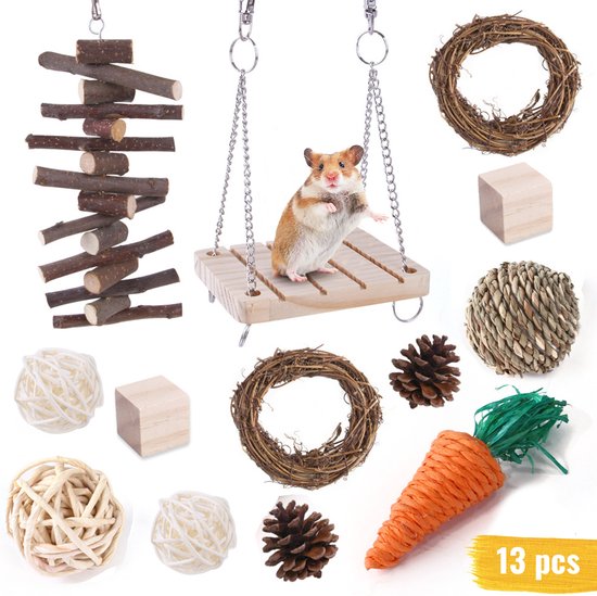 Knaagdieren Speelgoed Pakket - 13 stuks - Knaagdieren Set - Hamster  Speelgoed - Cavia... | bol.com