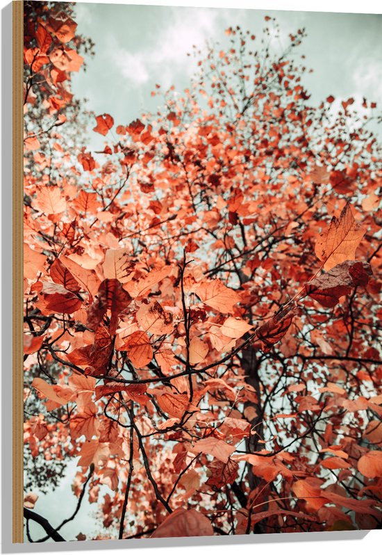 Hout - Herstbladeren aan de Boom - 60x90 cm - 9 mm dik - Foto op Hout (Met Ophangsysteem)