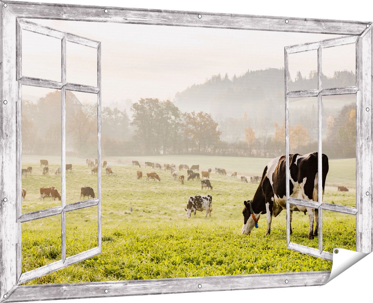 Gards Tuinposter Doorkijk Zwart Witte Koeien in de Wei - 180x120 cm - Tuindoek - Tuindecoratie - Wanddecoratie buiten - Tuinschilderij Multikleur