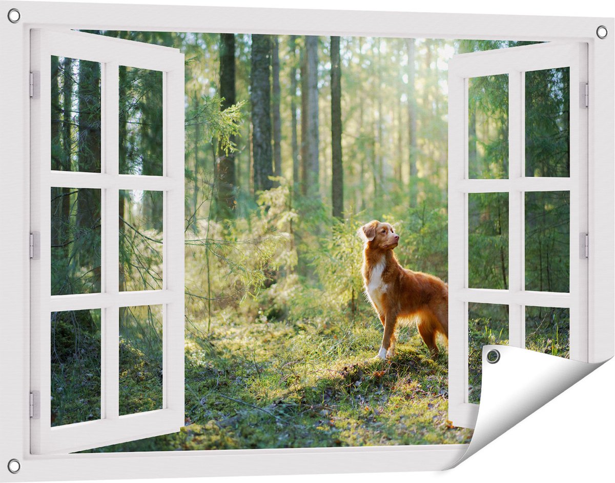 Gards Tuinposter Doorkijk Retriever Hond in het Bos met Zon - 90x60 cm - Tuindoek - Tuindecoratie - Wanddecoratie buiten - Tuinschilderij wit
