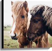 Canvas - Duo Licht- en Donkerbruine IJslander Paarden in de Wei - 60x60 cm Foto op Canvas Schilderij (Wanddecoratie op Canvas)