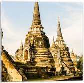 PVC Schuimplaat - Prachtige Puntige Wat Phra Si Sanphet Tempels in Ayutthaya, Thailand - 50x50 cm Foto op PVC Schuimplaat (Met Ophangsysteem)