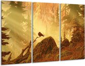GroepArt - Schilderij -  Natuur - Geel, Bruin, Wit - 120x80cm 3Luik - 6000+ Schilderijen 0p Canvas Art Collectie