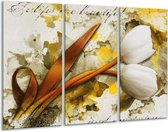 GroepArt - Schilderij -  Tulp - Wit, Bruin, Geel - 120x80cm 3Luik - 6000+ Schilderijen 0p Canvas Art Collectie