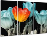 GroepArt - Schilderij -  Tulp - Oranje, Blauw, Zwart - 120x80cm 3Luik - 6000+ Schilderijen 0p Canvas Art Collectie