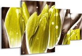 GroepArt - Schilderij -  Tulp - Geel, Grijs - 160x90cm 4Luik - Schilderij Op Canvas - Foto Op Canvas