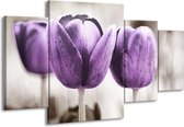 GroepArt - Schilderij -  Tulpen - Paars, Grijs, Wit - 160x90cm 4Luik - Schilderij Op Canvas - Foto Op Canvas