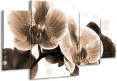 GroepArt - Schilderij -  Orchidee - Grijs, Wit - 160x90cm 4Luik - Schilderij Op Canvas - Foto Op Canvas