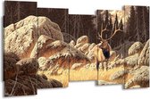 GroepArt - Canvas Schilderij - Natuur - Bruin, Wit - 150x80cm 5Luik- Groot Collectie Schilderijen Op Canvas En Wanddecoraties