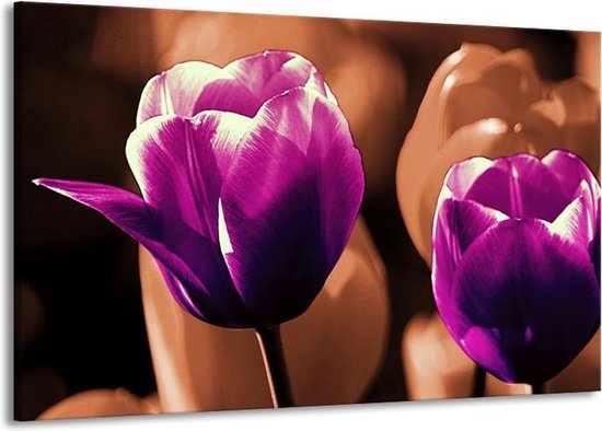 Peinture sur toile Tulipe | Violet, marron, blanc | 140x90cm 1 Liège