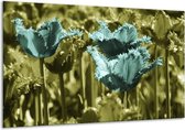 Glasschilderij Tulp - Blauw, Zwart, Groen - 120x70cm 1Luik - Foto Op Glas - Geen Acrylglas Schilderij - GroepArt 6000+ Glasschilderijen Art Collectie - Wanddecoratie - Woonkamer - Slaapkamer