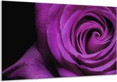 Peinture sur verre rose | Violet, noir | 120x70cm 1Hatch | Tirage photo sur verre |  F000391