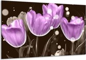 Peinture sur verre tulipe | Violet, gris | 120x70cm 1Hatch | Tirage photo sur verre |  F005067