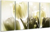 Peinture sur verre tulipe | Blanc gris | 160x80cm 4 Liège | Tirage photo sur verre |  F005051