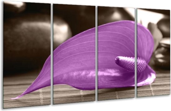 Feuille de peinture sur verre | Violet, gris | 160x80cm 4 Liège | Tirage photo sur verre |  F004558