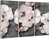 GroepArt - Schilderij -  Orchidee, Bloemen - Grijs - 120x80cm 3Luik - 6000+ Schilderijen 0p Canvas Art Collectie