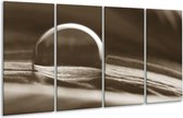 GroepArt - Glasschilderij - Macro - Sepia - 160x80cm 4Luik - Foto Op Glas - Geen Acrylglas Schilderij - 6000+ Glasschilderijen Collectie - Wanddecoratie