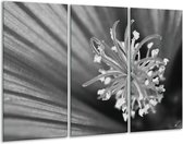Peinture | Peinture sur toile fleur | Noir, gris, blanc | 120x80cm 3 Liège | Tirage photo sur toile
