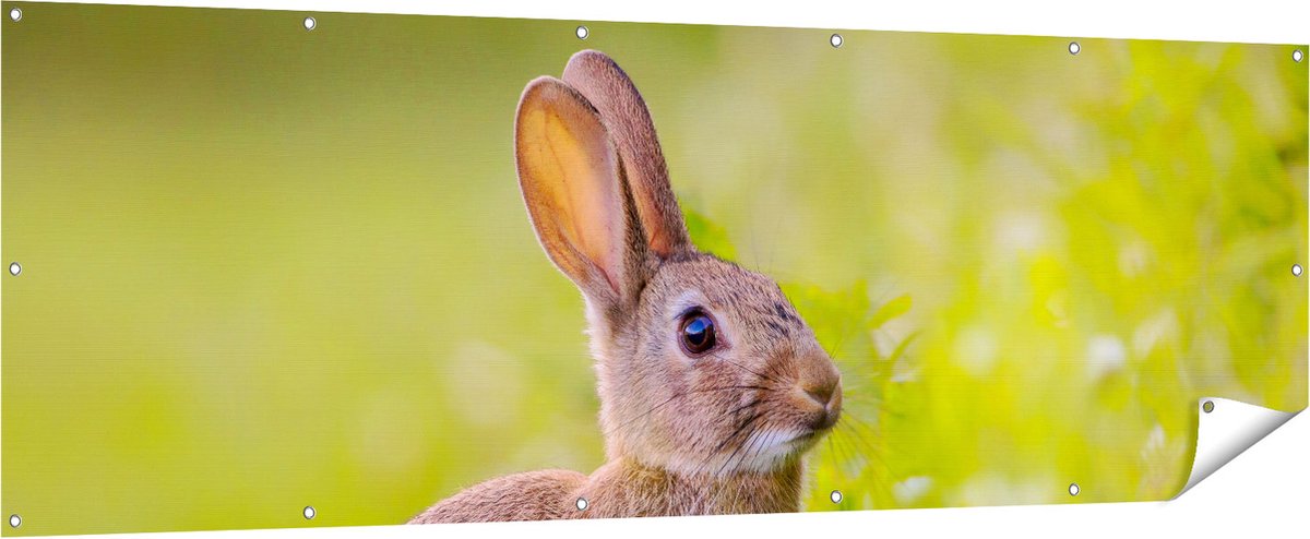 Gards Tuinposter Konijn tussen de Witte Bloemen - 210x70 cm - Tuindoek - Tuindecoratie - Wanddecoratie buiten - Tuinschilderij Multikleur