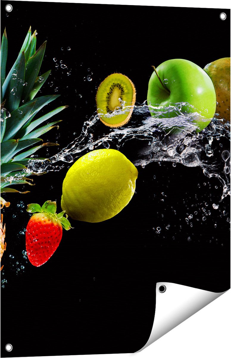 Gards Tuinposter Fruit met Water op Zwart Achtergrond - 60x80 cm - Tuindoek - Tuindecoratie - Wanddecoratie buiten - Tuinschilderij Multikleur