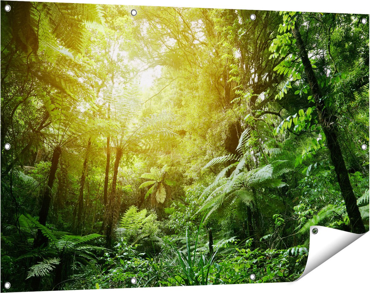 Gards Tuinposter Tropische Jungle met Zonneschijn - 120x80 cm - Tuindoek - Tuindecoratie - Wanddecoratie buiten - Tuinschilderij Multikleur