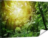Gards Tuinposter Tropische Jungle met Zonneschijn - 120x80 cm - Tuindoek - Tuindecoratie - Wanddecoratie buiten - Tuinschilderij