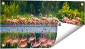 Gards Tuinposter Kudde Flamingo's op het Water - 60x30 cm - Tuindoek - Tuindecoratie - Wanddecoratie buiten - Tuinschilderij