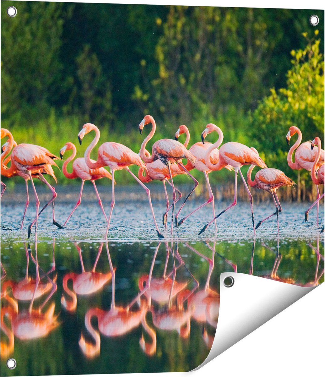 Gards Tuinposter Kudde Flamingo's op het Water - 60x60 cm - Tuindoek - Tuindecoratie - Wanddecoratie buiten - Tuinschilderij Multikleur