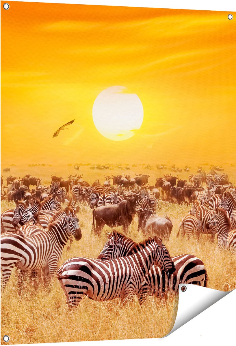 Gards Tuinposter Kudde Zebra's bij een Oranje Zonsondergang - 80x100 cm - Tuindoek - Tuindecoratie - Wanddecoratie buiten - Tuinschilderij Multikleur