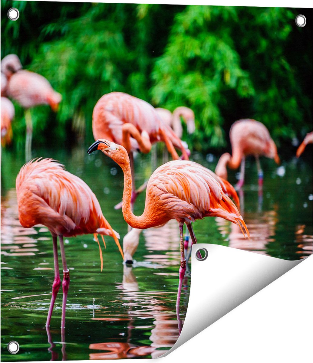 Gards Tuinposter Kudde Flamingo's in de Jungle in het Water - 50x50 cm - Tuindoek - Tuindecoratie - Wanddecoratie buiten - Tuinschilderij Multikleur
