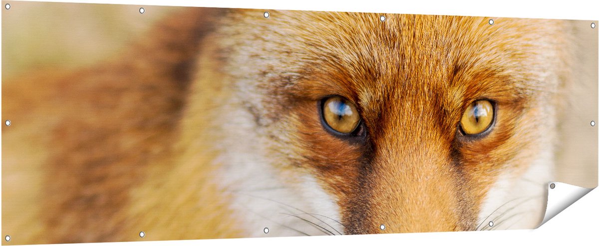Gards Tuinposter Vossenkop met Bruine Ogen - Vos - 210x70 cm - Tuindoek - Tuindecoratie - Wanddecoratie buiten - Tuinschilderij Multikleur