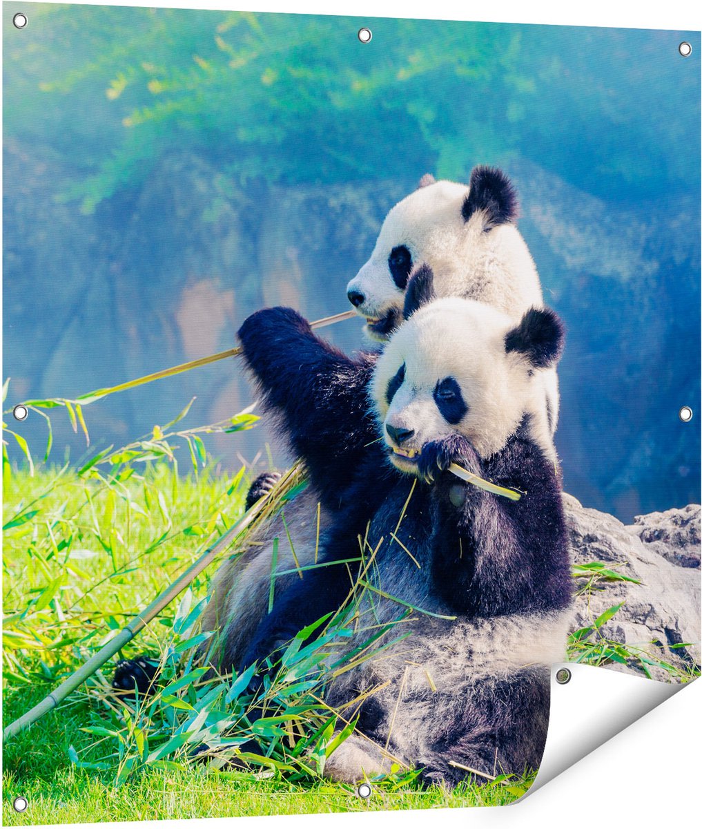 Gards Tuinposter Twee Panda's Eten Bamboe Riet - 90x90 cm - Tuindoek - Tuindecoratie - Wanddecoratie buiten - Tuinschilderij Multikleur
