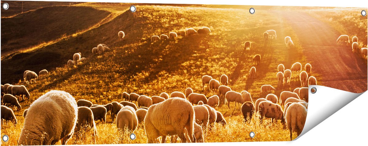 Gards Tuinposter Schapen in de Heuvels bij Zonsondergang - 120x40 cm - Tuindoek - Tuindecoratie - Wanddecoratie buiten - Tuinschilderij Multikleur